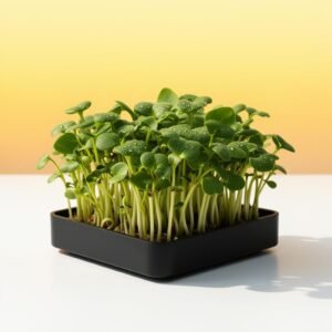 Arugula Fresh Cut (2oz Clamshell)